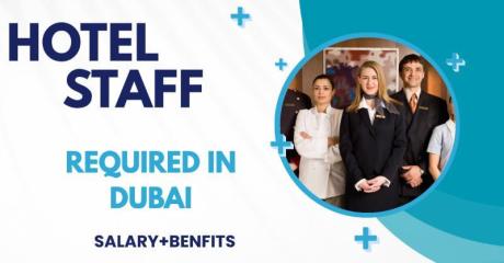 Hotel Staff Required in Dubai