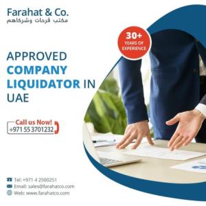 Need to Liquidate a Company - We will help you to end it properly