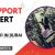 IT Support Expert Required in Dubai