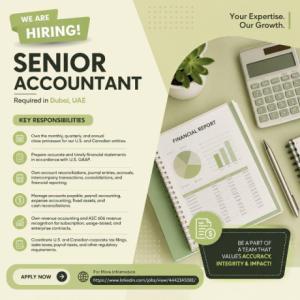 Senior Accountant Required in Dubai