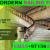 Modern Staircase Railing Fixing Contractor Ajman Dubai Sharjah