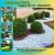 Villa Landscaping company in Sharjah,Dubai, UAE