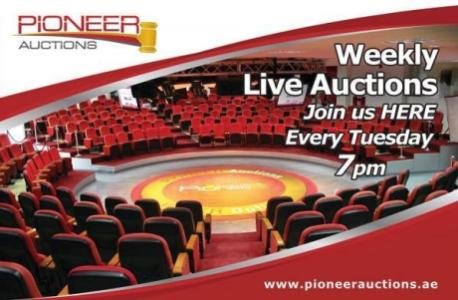 Pioneer Auctions