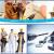 General Maintanance Contractor in UAE