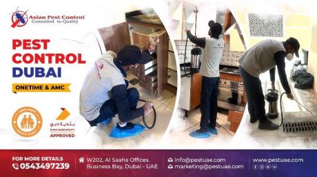 # Get Up to 25% Ramadan Off – No.1 Pest Control