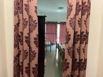 Executive Bedspace for Ladies near DAFZA Metro Station