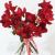 Luxury Valentine’s Day Rose Bouquets – Order Now | Glamour Rose