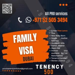 pakistani freelance visa inside 9500
