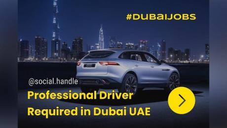 Professional Driver Required