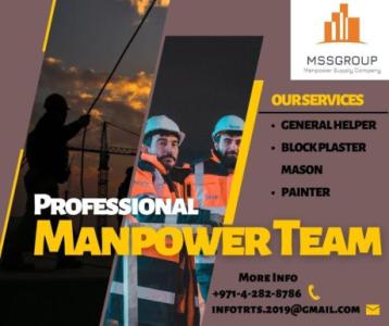 Professional Manpower Team in U.A.E