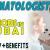 Dermatologist Required in Dubai
