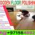 desk Table Polishing and Painting Dubai Ajman Sharjah