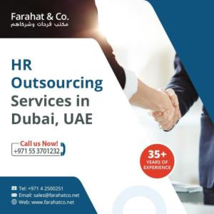 PRO services in Dubai -Document Clearing, Residency Visa and more