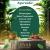 Discover the Healing Touch of Ayurveda – VAS Ayurvedic Clinic in Dubai