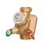 Pressure Independent Balancing Control Valves