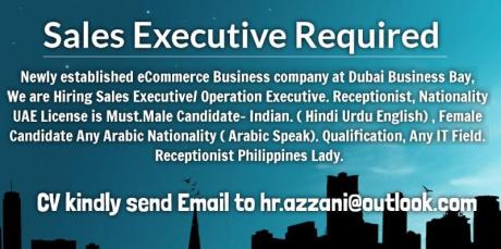 Sales Executive Required