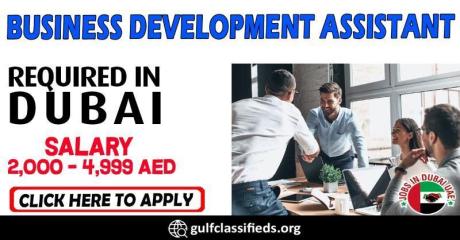 BUSINESS DEVELOPMENT ASSISTANT REQUIRED IN DUBAI