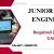 Junior Data Engineer Required in Dubai