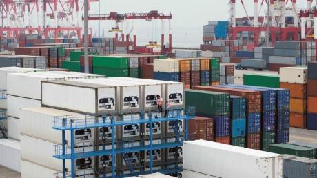 Freshness on the Go: Dependable Rentals for Refrigerated Containers