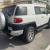 Fg cruiser 2017