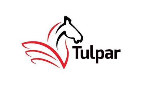 Tulpar Global Taxation
