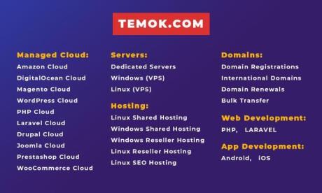 Best Web Hosting | Dedicated Server | Temok IT Services