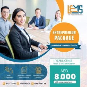 BUSINESS LICENSE IN UAE